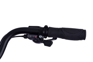 Alba Cargo S -  - Alba E-bikes - Elektrikli Bisiklet