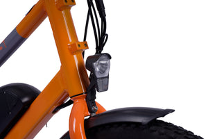 Alba Cargo S -  - Alba E-bikes - Elektrikli Bisiklet