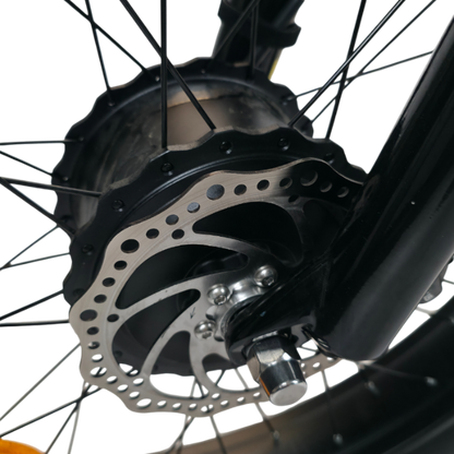 Alba evoq disk frenler