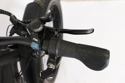 Alba evoq vites kolu detay