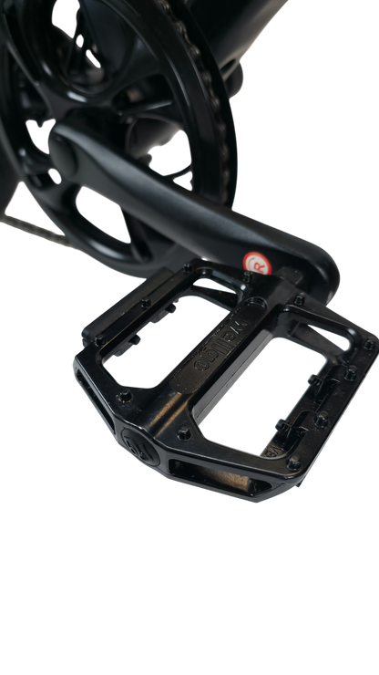 Alba Motobike X1 pedal detayı